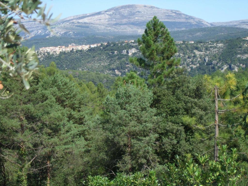 Villa Verdi Montauroux Bagian luar foto