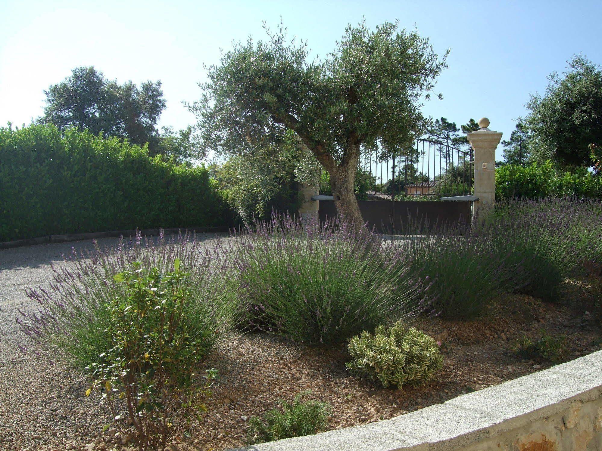 Villa Verdi Montauroux Bagian luar foto